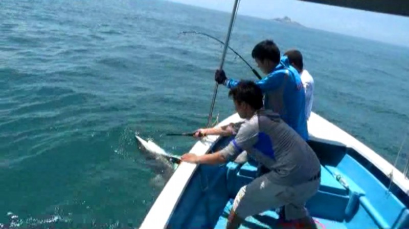 TICA's Fishing Reels catch 200 kg big shark